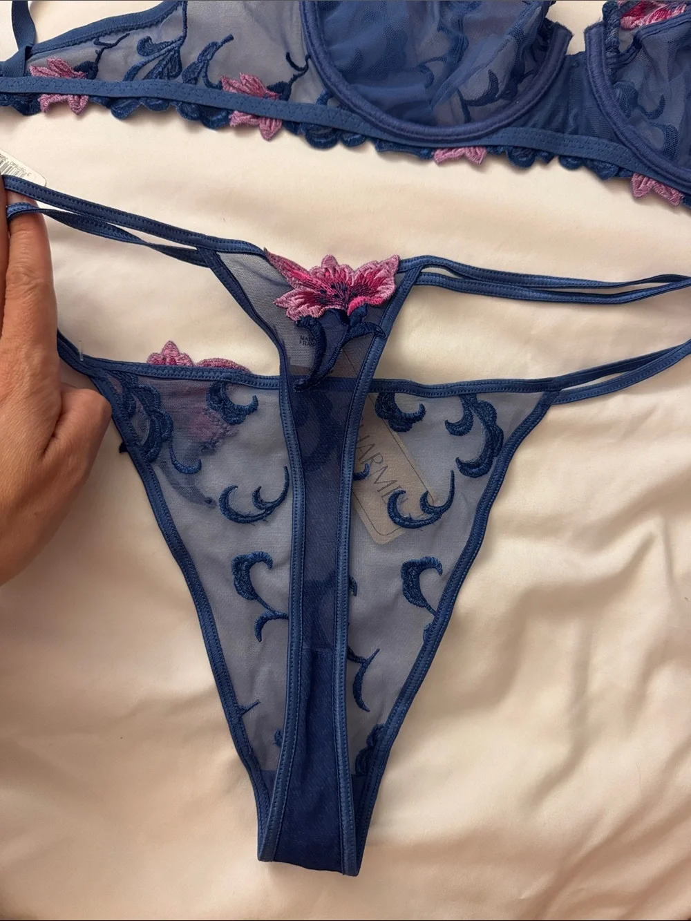 Blue & Pink Embroidered Lace Bra 36B & Thong Set L